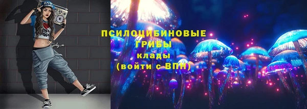 МДПВ Абаза