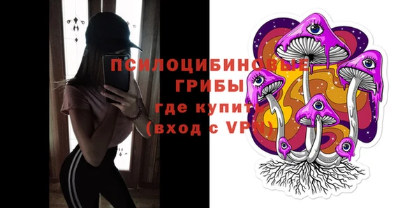 МДПВ Абаза